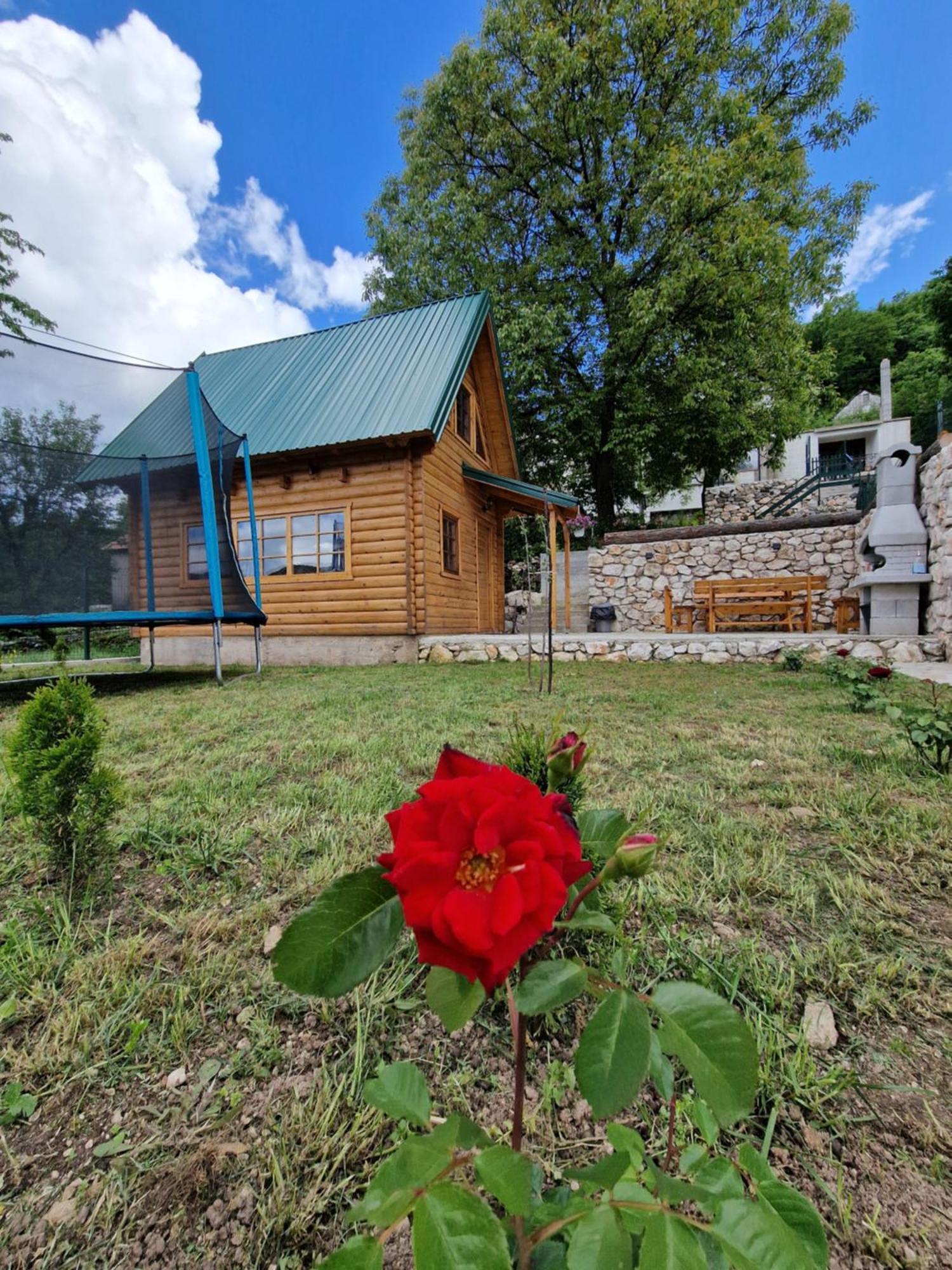 Ferienhaus Brvnara Ricki