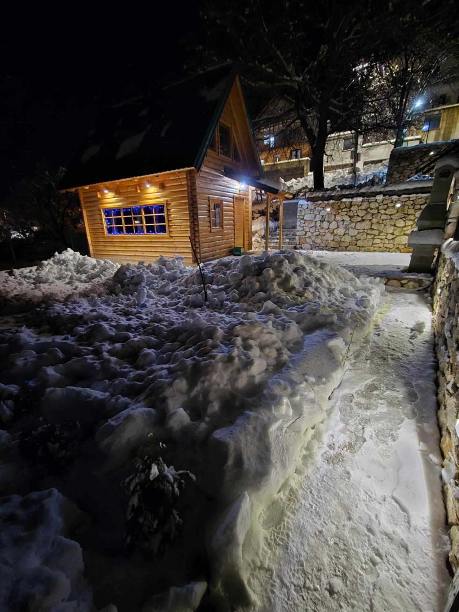 Brvnara Ricki Ferienhaus Cetinje